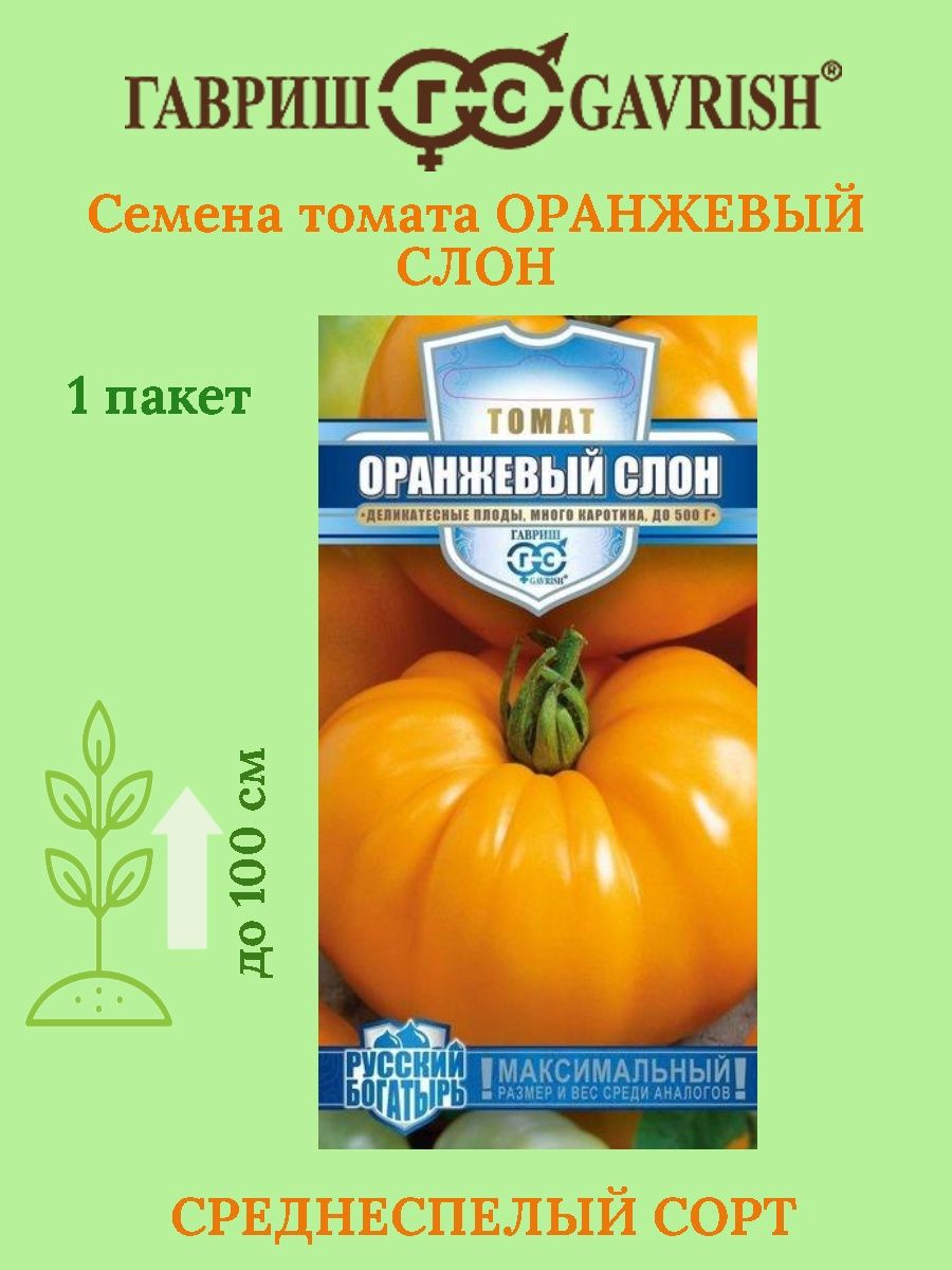 Томат оранжевый слон