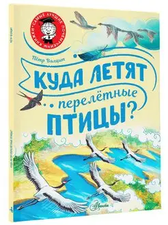 Куда летят перелётные птицы?