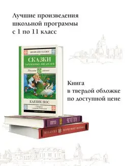 Карлик нос. Сказки зарубежных писателей