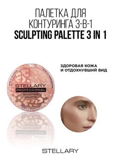 Контуринг для лица Face sculptor тон 01 11,4г