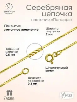 Серебряная цепочка Панцирь