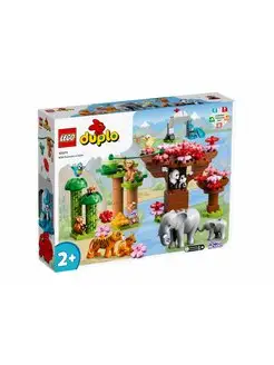 DUPLO 10974 Дикие животные Азии