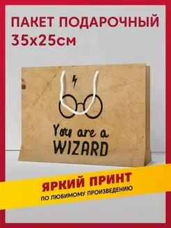 Пакет подарочный сувенирный с принтом Поттер, Harry Potter