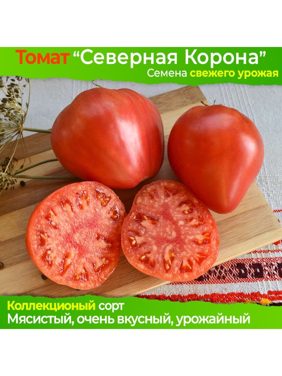 северная томат фото