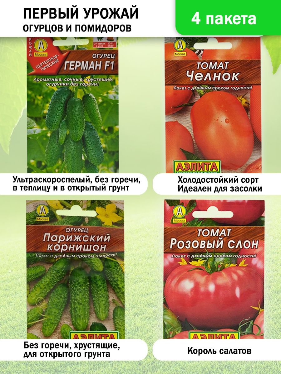 томат челнок отзывы фото урожайность