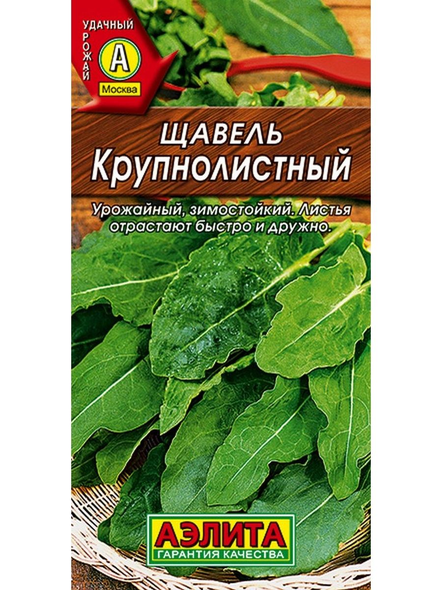 Семена щавеля. Щавель крупнолистный 0,3гр/10. Щавель крупнолистный 0,8гр. Щавель крупнолистный 1г поиск.