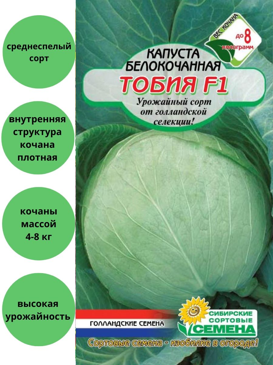Капуста Тобия F1 белокочанная для квашения Сибирские сортовые семена140193722 купить в интернет-магазине Wildberries