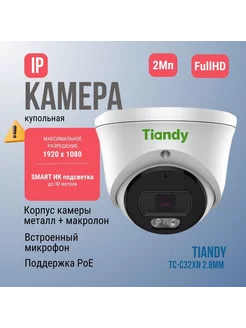 IP Камера видеонаблюдения купольная 2MP c микрофоном и PoE