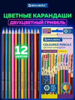 Карандаши цветные для рисования двухсторонние, мягкие, 24 цв