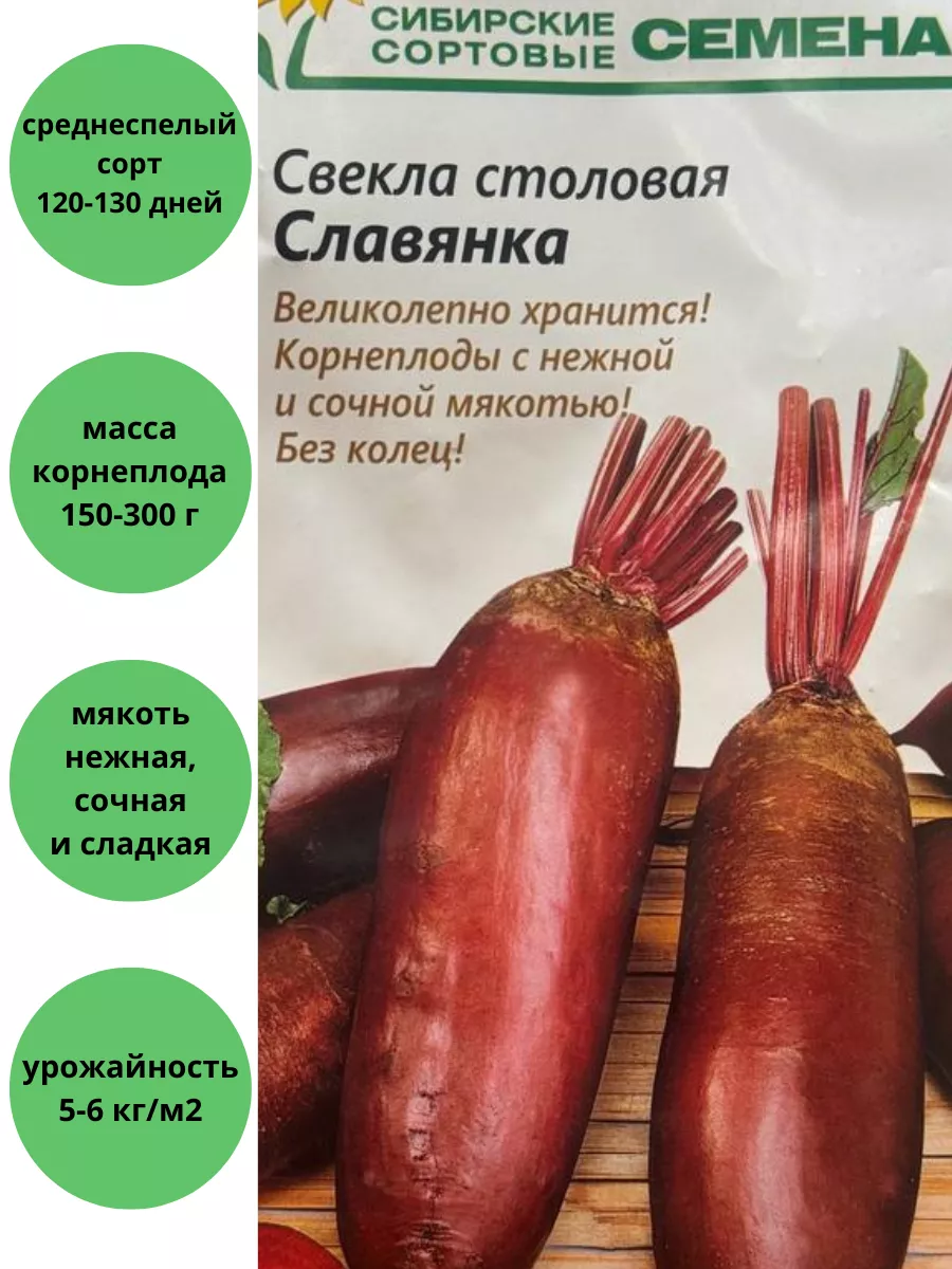 Свекла Славянка Описание Сорта Фото