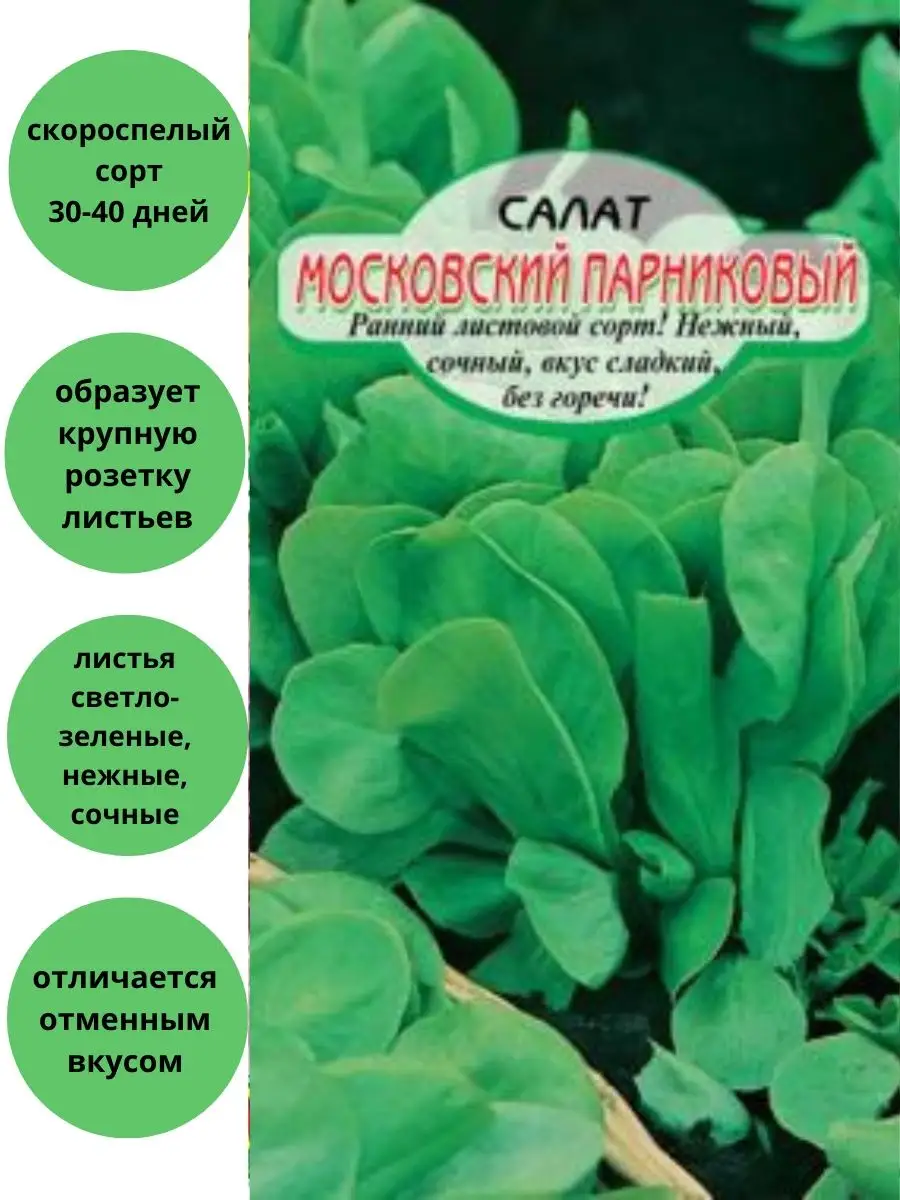 Салат Московский парниковый, листовой