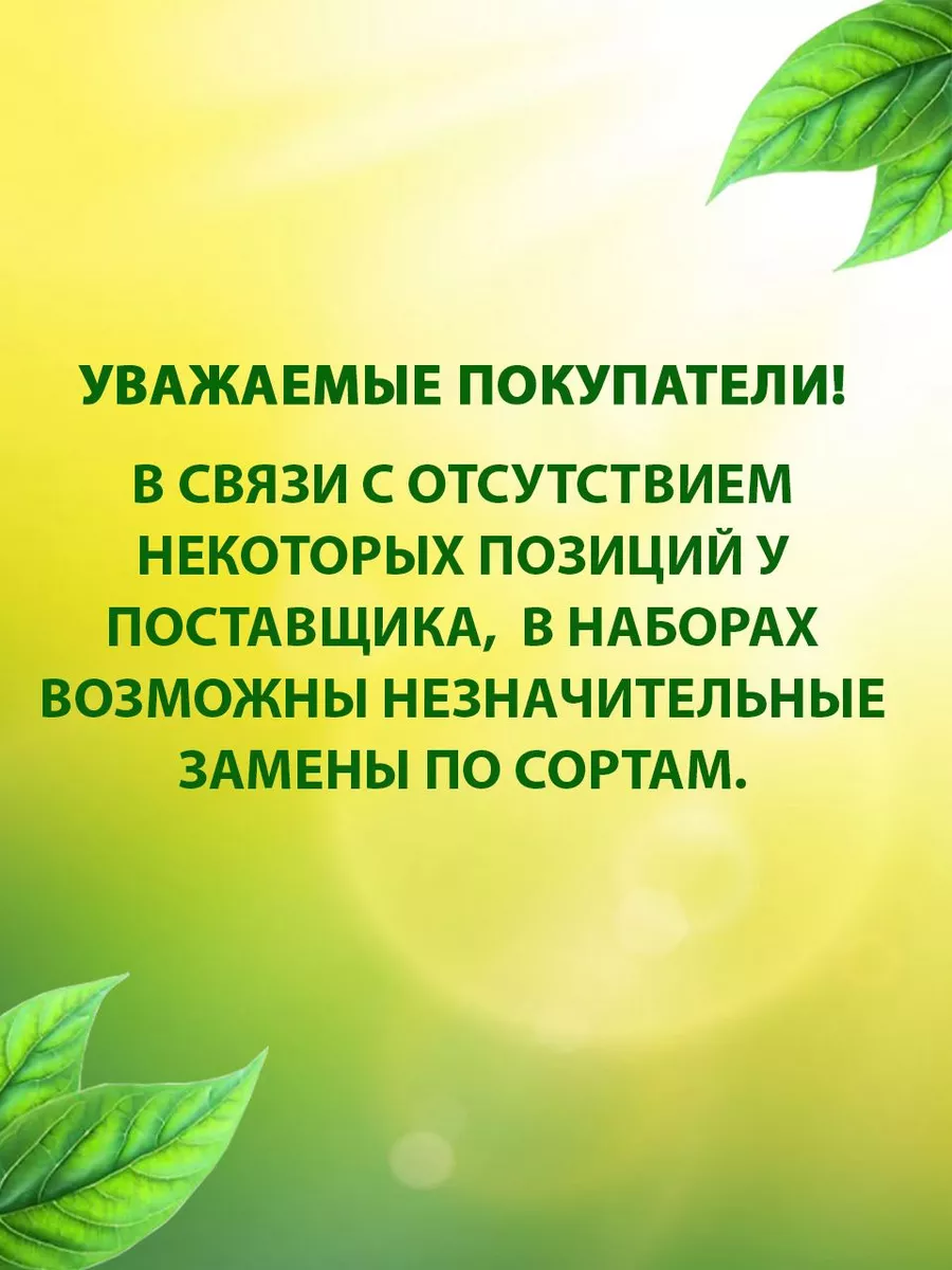 Сорт томат толстый боцман. Томат победитель характеристика и описание. Томат толстый Боцман.