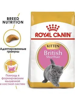 British Shorthair для котят, 2 кг