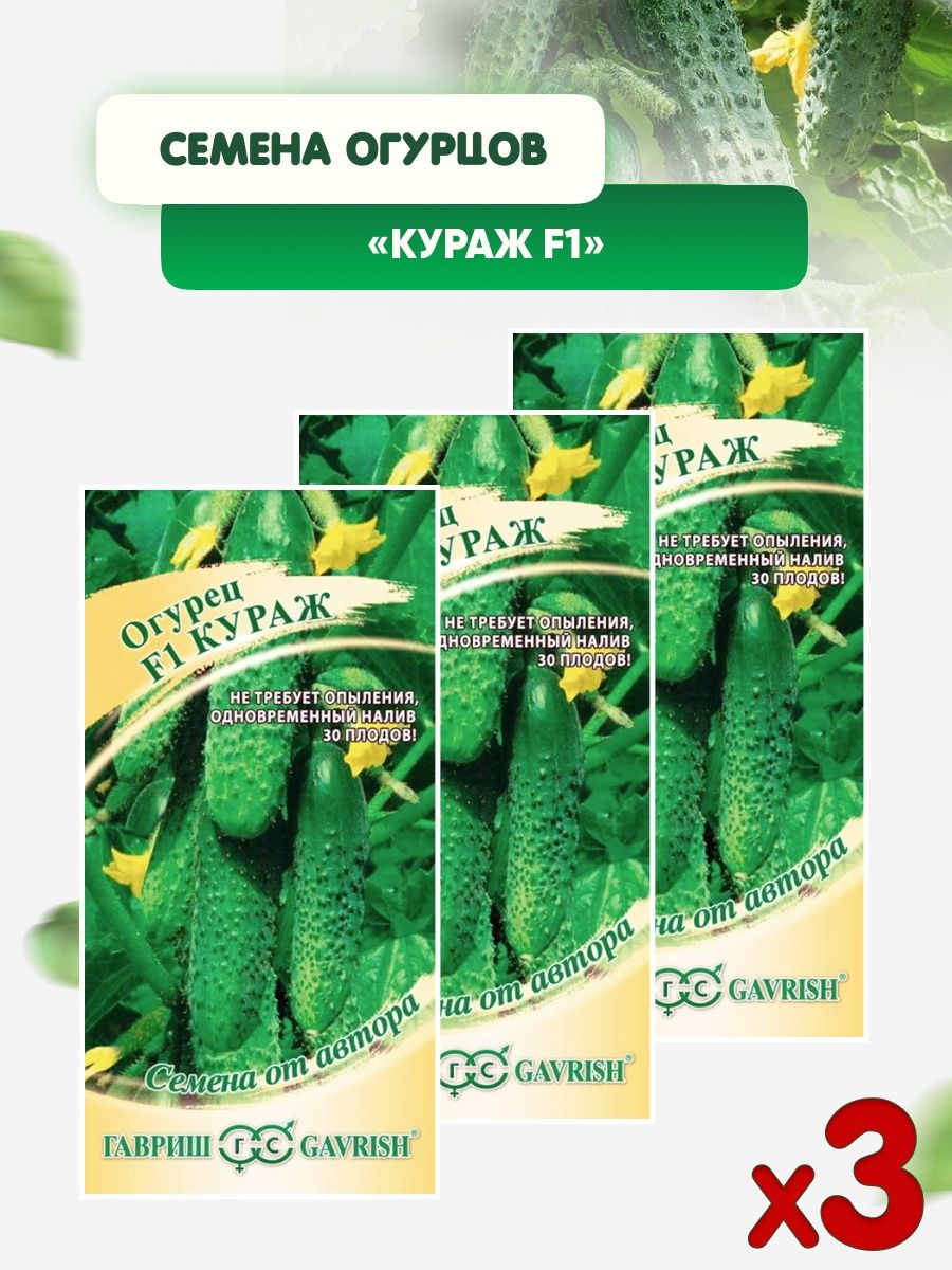 Кураж Огурцы Купить Семена