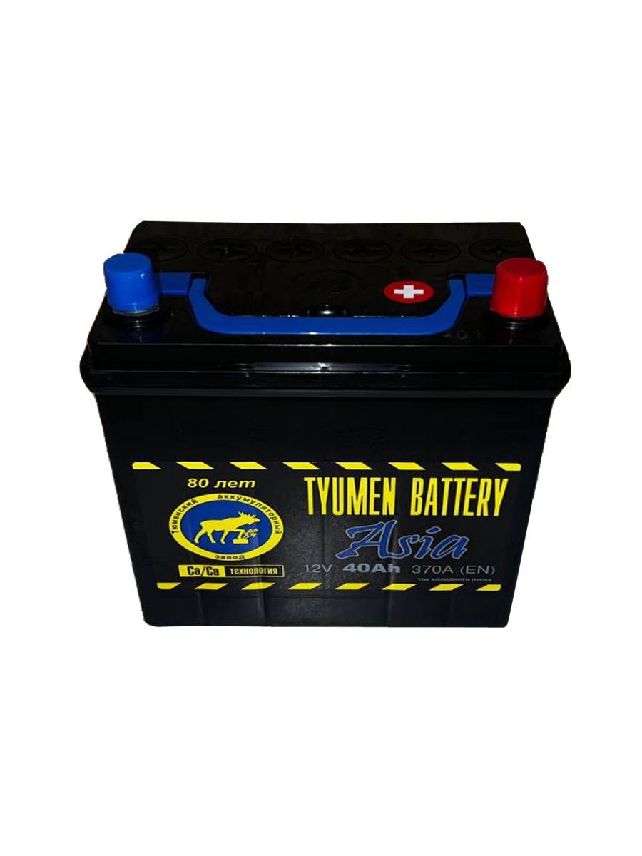 Аккумулятор Тюменский Азия 77 а. Tyumen Battery Asia 40 Ач Размеры. Тюмень Азия 40. Tyumen Bear аккумулятор. Asia 40