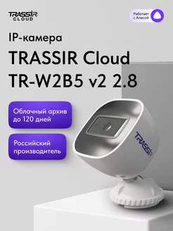 wifi камера облачная TR-W2B5 v2 (2.8 мм)