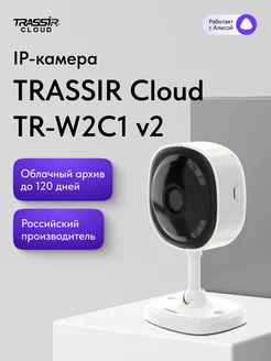 Видеокамера wifi TR-W2C1 v2 (2.8 мм)