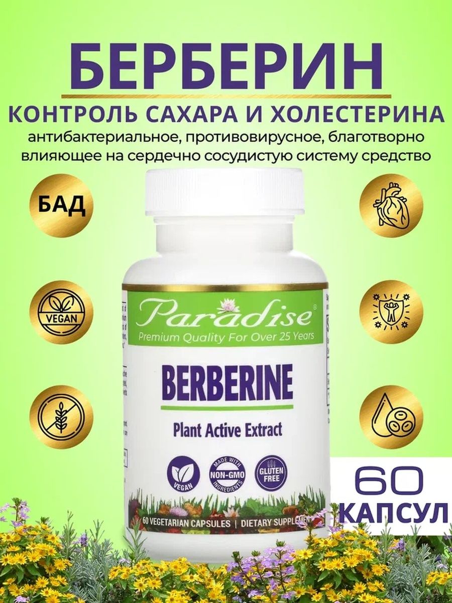 Берберин цена в аптеке. Paradise Herbs, берберин. Берберин 500. Берберин 500 мг айхерб. Берберин extract Paradise Herbs.