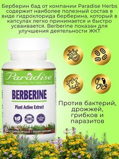 Берберин свойства. Paradise Herbs, берберин. Растения содержащие берберин. IHERB БАДЫ. Berberin. Берберин для чистки сосудов.