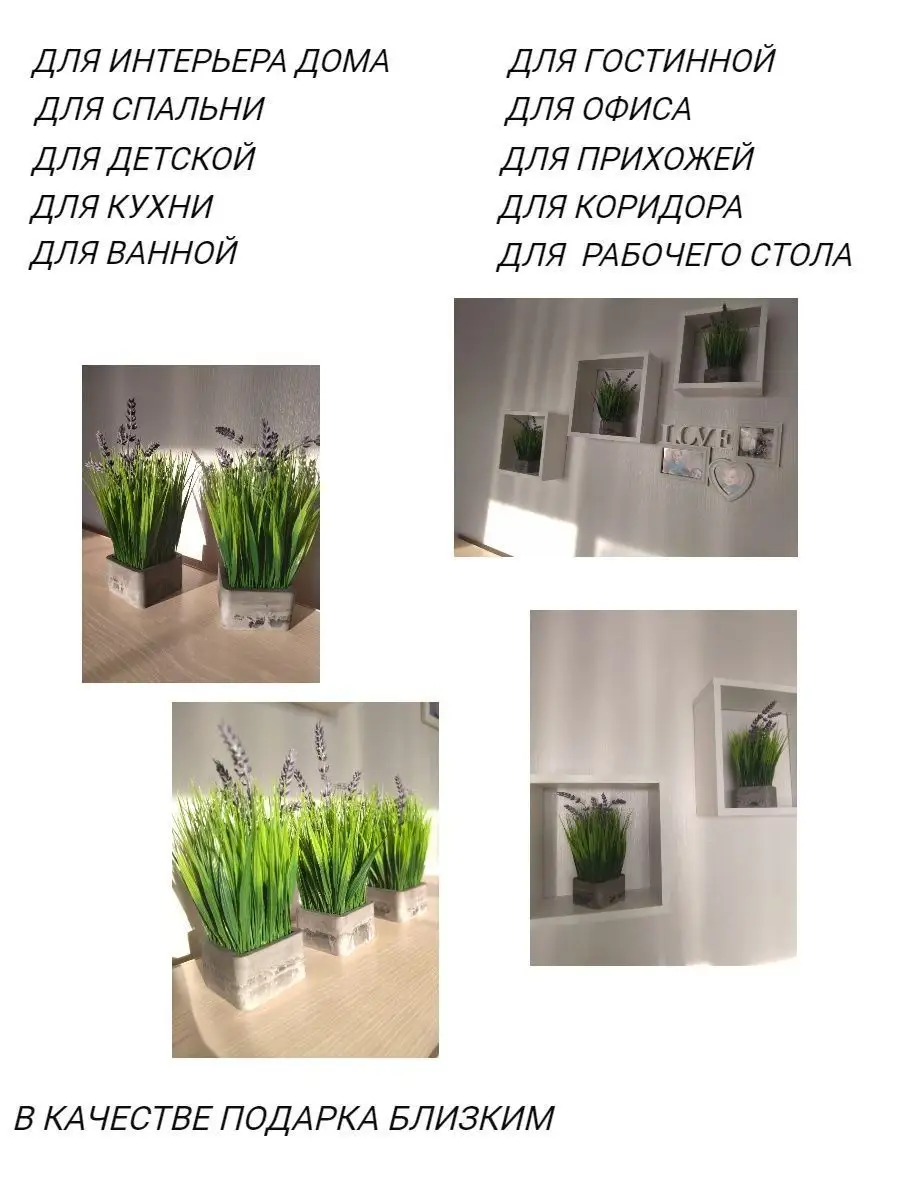 Самые модные комнатные растения инстаграма и пинтереста