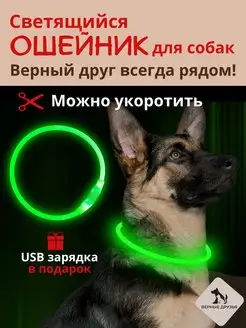 Ошейник светодиодный USB