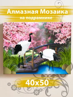 Алмазная мозаика на подрамнике 40х50