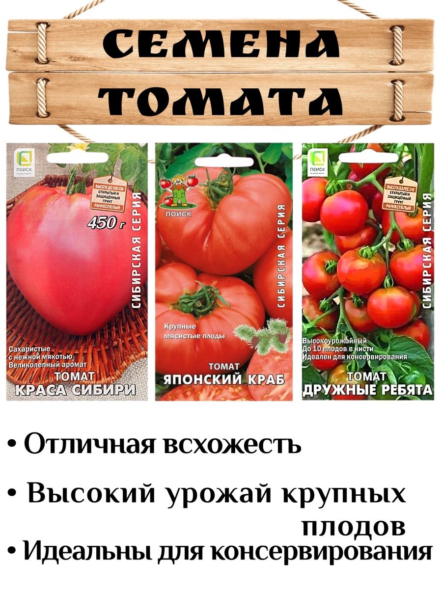 Краса сибири томат отзывы описание сорта