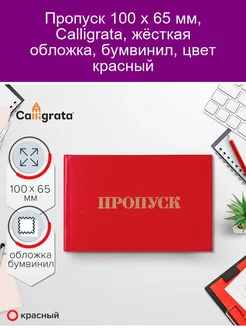 Пропуск 100 х 65 мм, жёсткая обложка, бумвинил