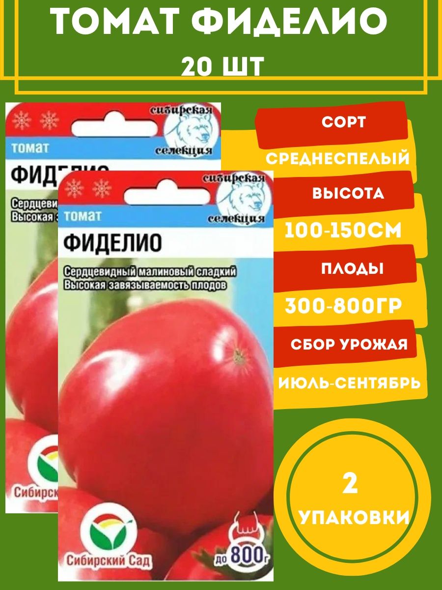 Семена томат Фиделио. Томат Фиделио характеристика. Томат Фиделио купить семена. Томат Фиделио на Урале.