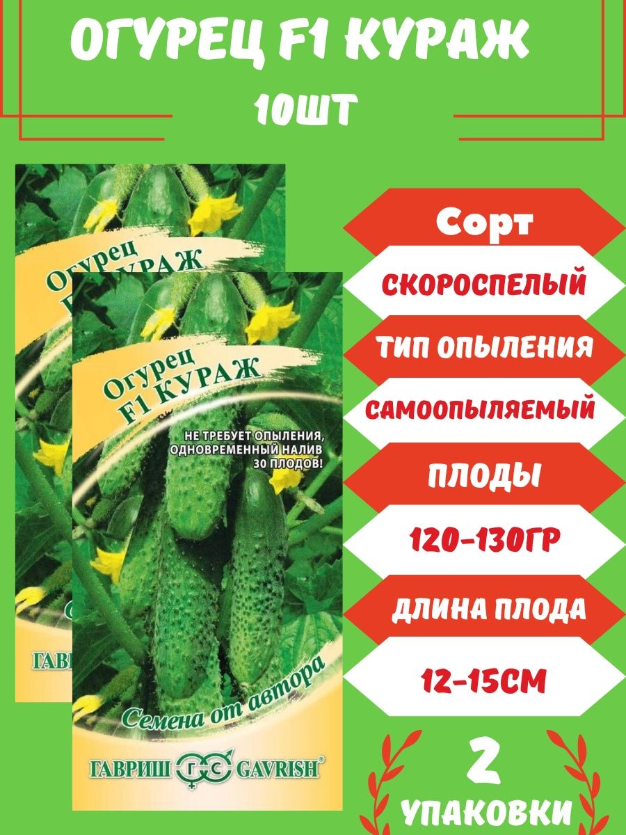 Огурцы кураж описание