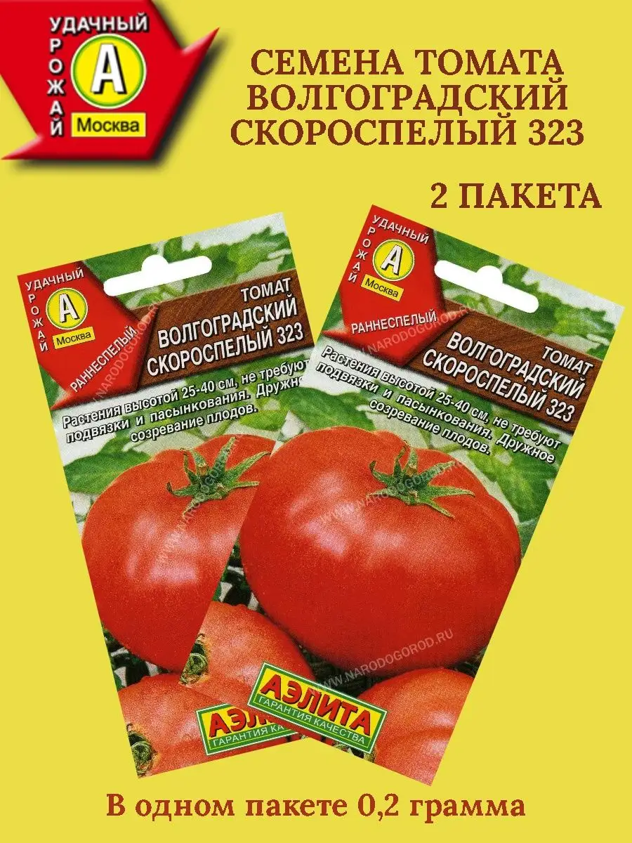 Сорт волгоградский 323. Томат Волгоградский. Помидоры волгоградские зори. Помидоры Волгоград огромный.