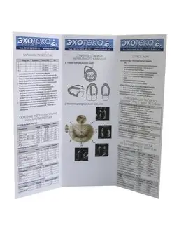 Пособие по эхокардиографии (Буклет Эхотека)
