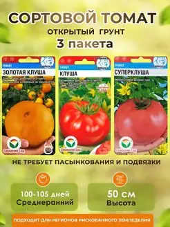 Семена томатов низкорослые Клуша