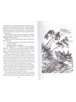 Паустовский мещерская сторона читательский дневник. Паустовский Мещерская сторона иллюстрации. Мещерская сторона рисунок. Паустовский Мещерская сторона сколько страниц. Мещёрская сторона Паустовский сколько страниц в рассказе.