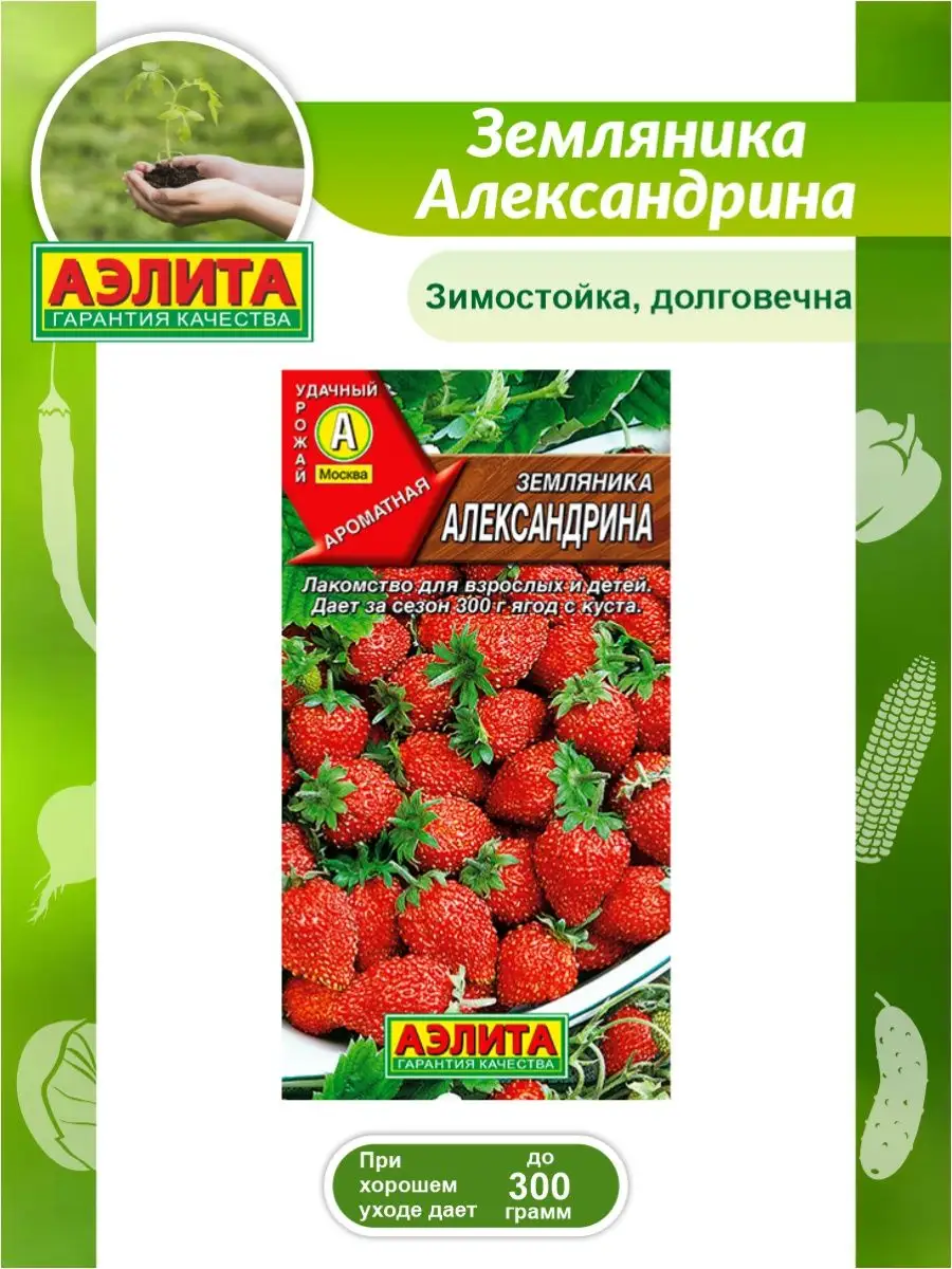 Семена Земляника Александрина 0,04 гр. Аэлита 142673956 купить за 139 ₽ винтернет-магазине Wildberries