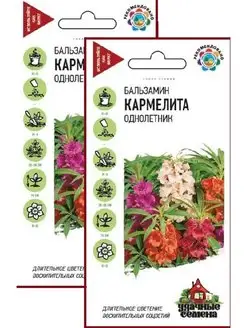 Бальзамин Кармелита (садовый) (0,1 г), 2 пакета