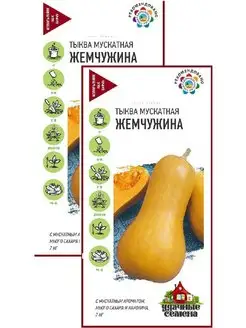 Тыква Жемчужина мускатная (1 г), 2 пакета