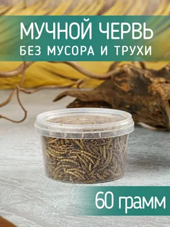 Лакомство мучной червь