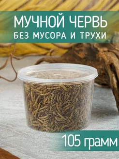 Лакомство мучной червь