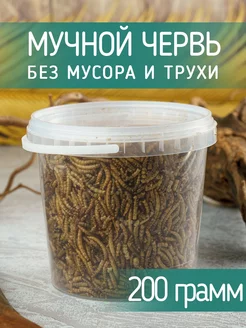 Лакомство мучной червь