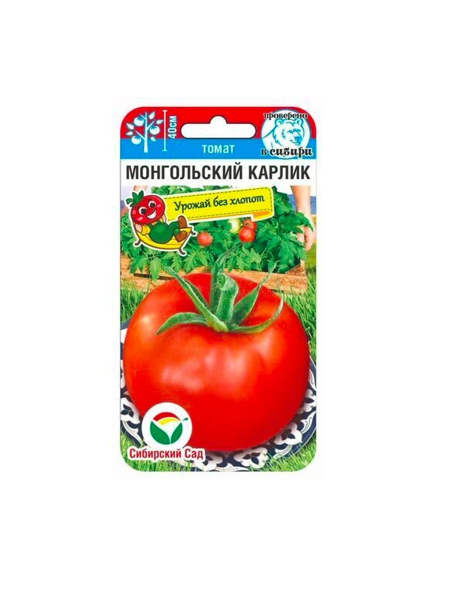 Семена томат монгольский карлик (20шт)