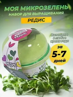 Набор для выращивания "Моя микрозелень Редис", ПРМЗ РД