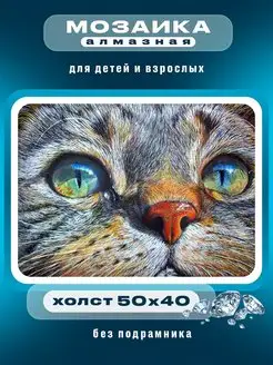 Алмазная мозаика 50х40 без подрамника