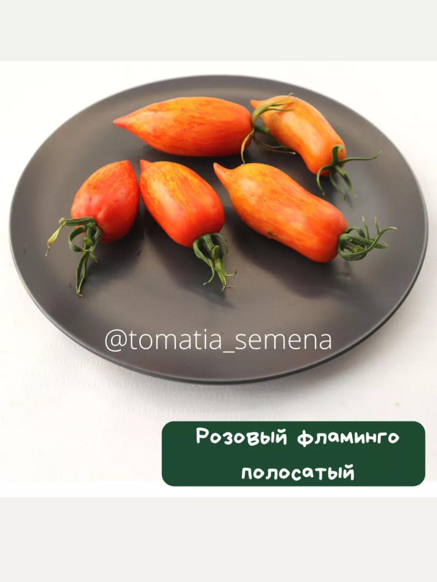 Набор коллекционных томатов 20 сортов ТоматиЯ 143153577 купить винтернет-магазине Wildberries