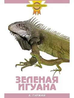 Зеленая игуана