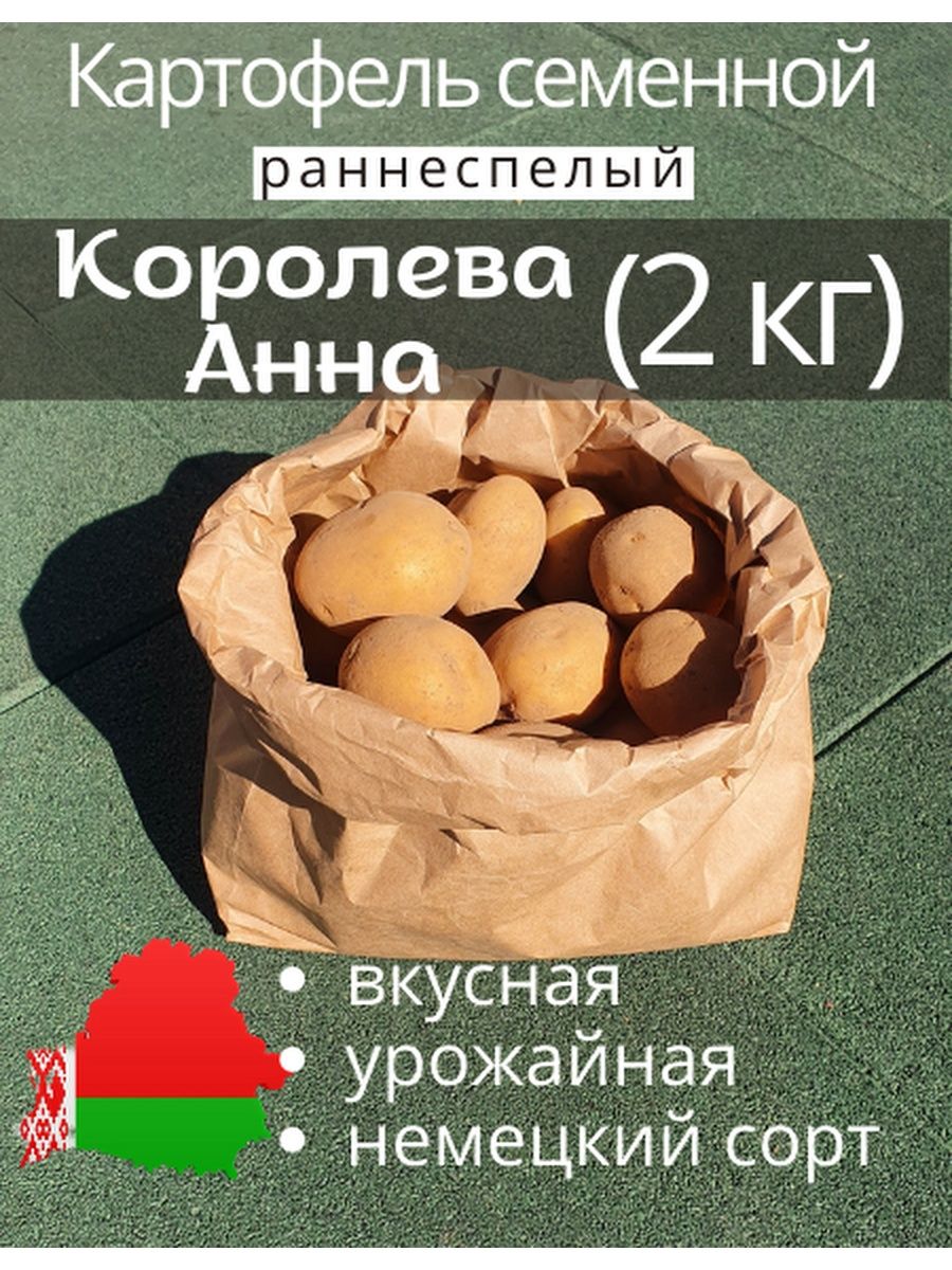 Покупка семян Кармен картофеля