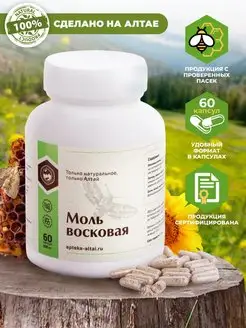 Восковая моль огневка