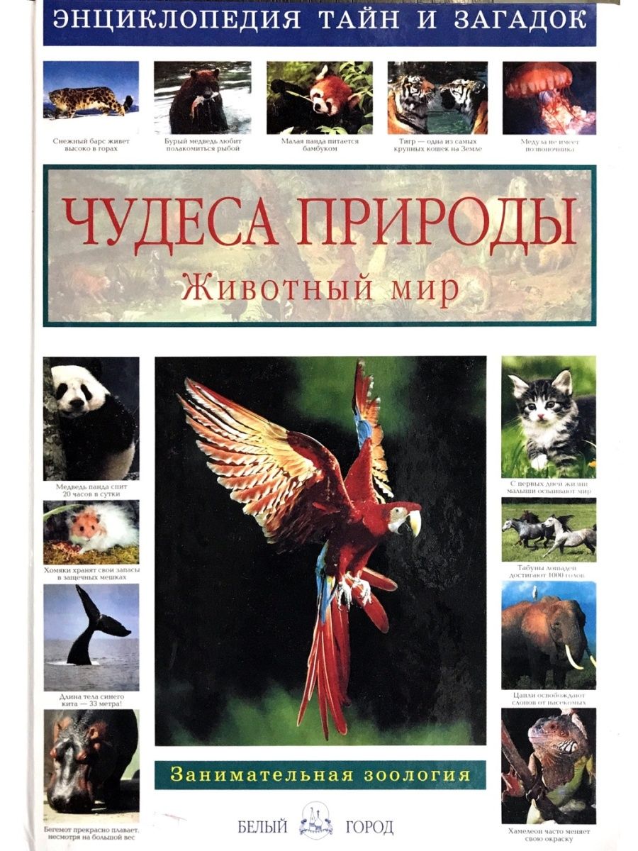 Чудеса загадки тайны. Калашников , Виктор Иванович. Чудеса природы. Животный мир книга. Калашников чудеса природы животный мир. Энциклопедия чудеса природы животный мир. Энциклопедия тайн и загадок чудеса природы.