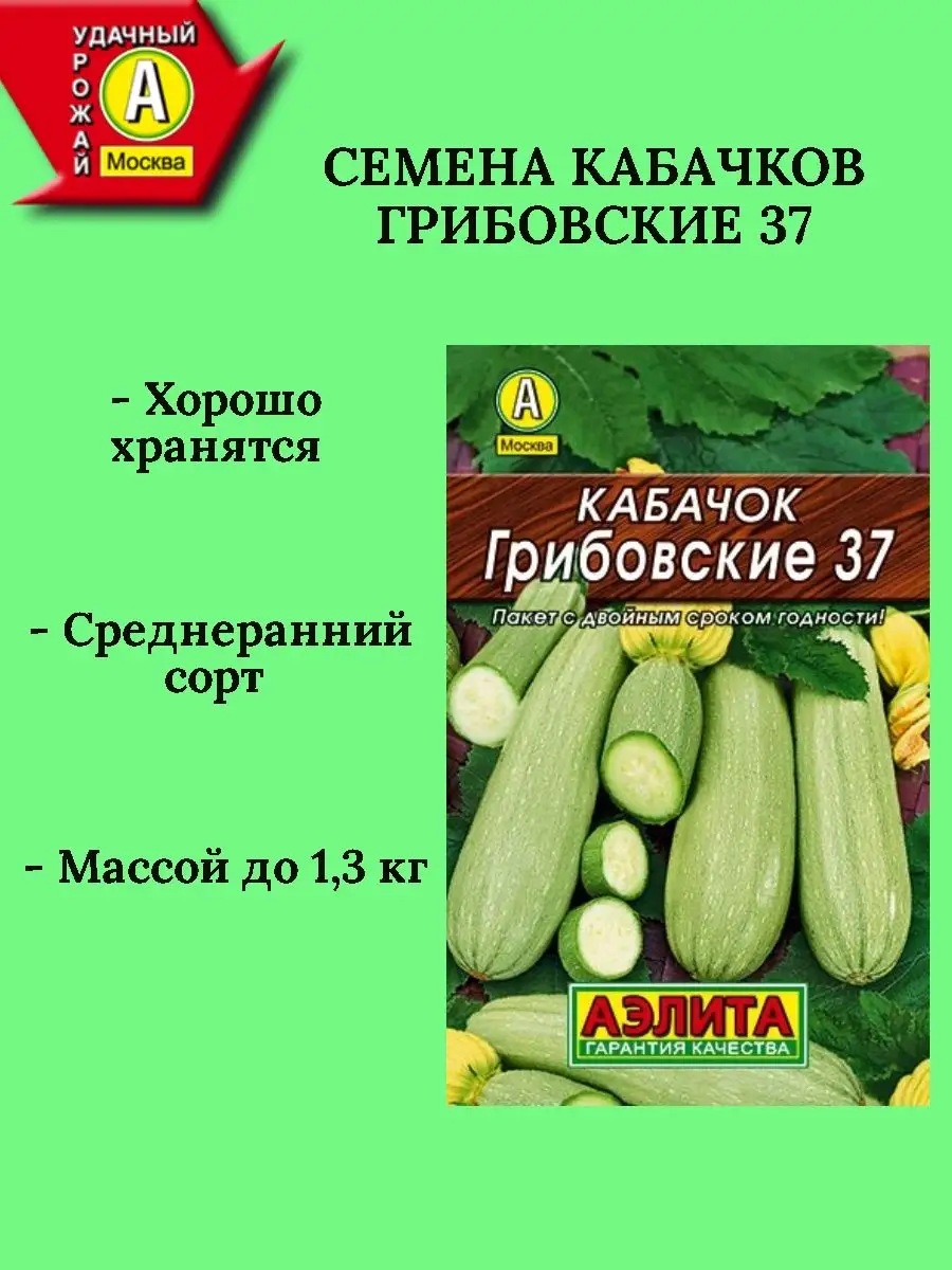 Кабачки Грибовские. Кабачок Грибовский 37 отзывы. Кабачок Грибовский отзывы.