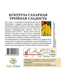 Схема посадки кукурузы сахарной